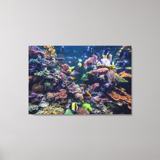 Tropical Beaches | Underwater Coral Reef Canvas Afdruk (Voorkant)
