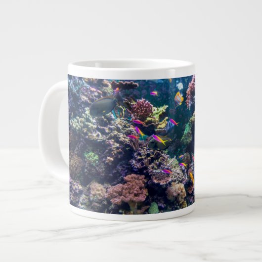 Tropical Beaches | Underwater Coral Reef Grote Koffiekop (Links)