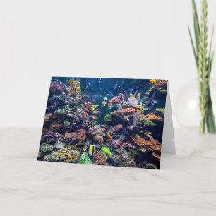 Tropical Beaches   Underwater Coral Reef Kaart
