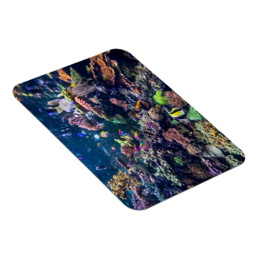 Tropical Beaches | Underwater Coral Reef Magneet (Rechterzijde)