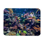 Tropical Beaches | Underwater Coral Reef Magneet (Horizontaal)