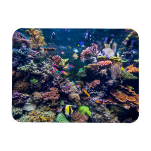 Tropical Beaches   Underwater Coral Reef Magneet