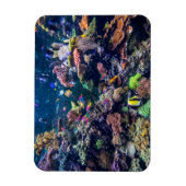 Tropical Beaches | Underwater Coral Reef Magneet (Verticaal)
