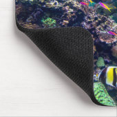Tropical Beaches | Underwater Coral Reef Muismat (Hoek)