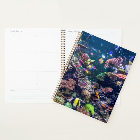 Tropical Beaches | Underwater Coral Reef Planner (Display)