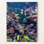 Tropical Beaches | Underwater Coral Reef Planner (Achterkant)