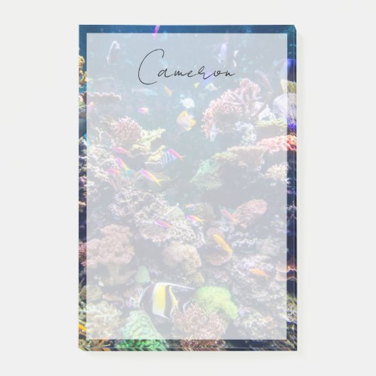 Tropical Beaches | Underwater Coral Reef Post-it® Notes (Voorkant)