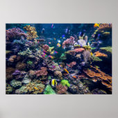 Tropical Beaches | Underwater Coral Reef Poster (Voorkant)