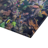 Tropical Beaches | Underwater Coral Reef Snijplank (Hoek)
