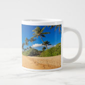 Tropical Beaches | Wailea, Maui, Hawaii Grote Koffiekop (Rechts)