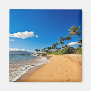Tropical Beaches Wailea, Maui, Hawaii Magneet