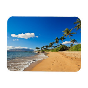 Tropical Beaches Wailea, Maui, Hawaii Magneet