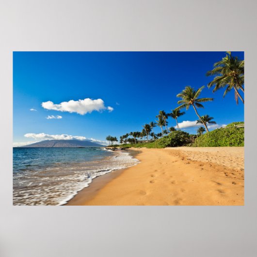 Tropical Beaches | Wailea, Maui, Hawaii Poster (Voorkant)