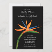 Tropical Bird of Paradise Couples Vrijgezellenfees Kaart (Voorkant)