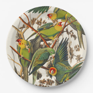 Tropical bird unique paper plates papieren bordje