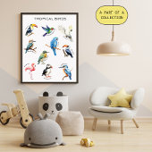 Tropical Birds Educational Poster