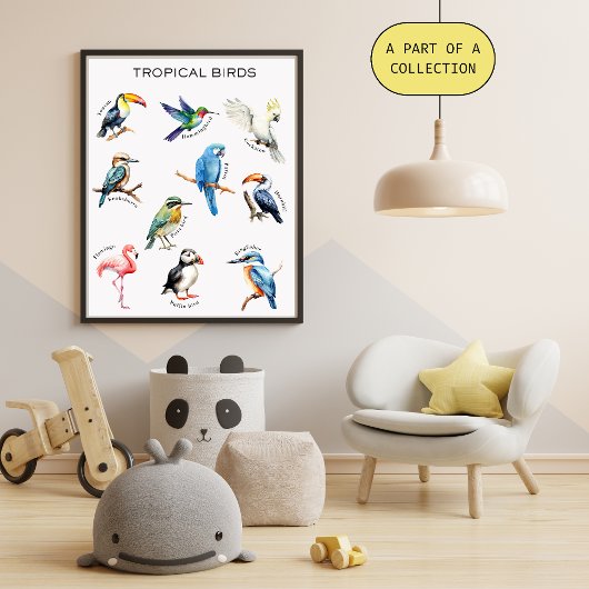 Tropical Birds Educational Poster
