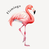 Tropical Birds Educational Poster