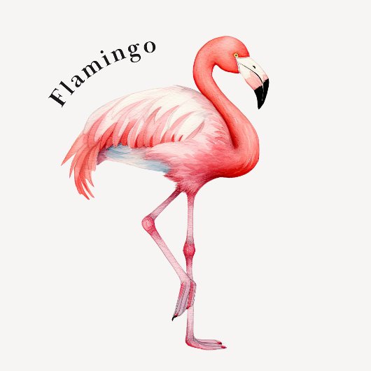 Tropical Birds Educational Poster