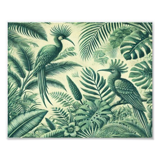Tropical Birds Heaven_ kunst Foto Afdruk (Voorkant)