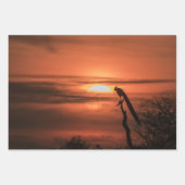 Tropical Birds Inpakpapier Vel (Voorkant 3)