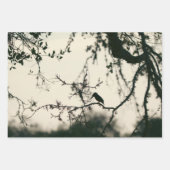 Tropical Birds Inpakpapier Vel (Voorkant)