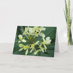 Tropical Botanical Flower Note Kaart