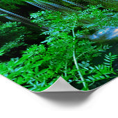 Tropical Cascading Waterfall In The Rainforest Poster (Hoek)
