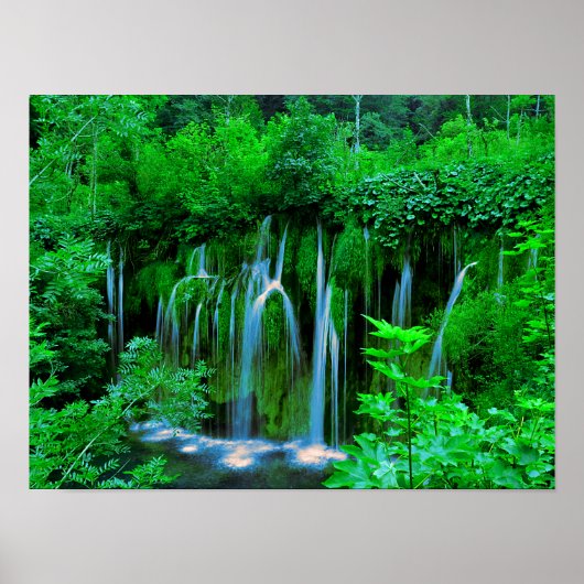 Tropical Cascading Waterfall In The Rainforest Poster (Voorkant)