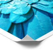 Tropical Companions Poster (Hoek)