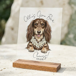 Tropical Dachshund Wedding Drinks On Me Acryl Bord