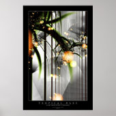 Tropical Daze Poster (Voorkant)