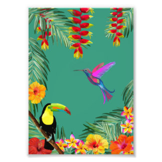 Tropical Delight hummingbird toucan flowers  Foto Afdruk