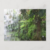 Tropical dream briefkaart (Voorkant)