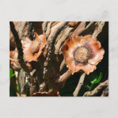 Tropical Dried Coconut Flowers Floral Briefkaart (Voorkant)