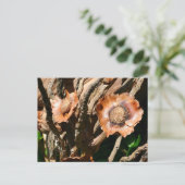 Tropical Dried Coconut Flowers Floral Briefkaart (Staand voorkant)
