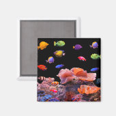 Tropical Fish afbeelding voor Square-Magnet Magneet (Voorkant / Achterkant)