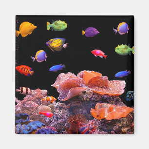 Tropical Fish afbeelding voor Square-Magnet Magneet