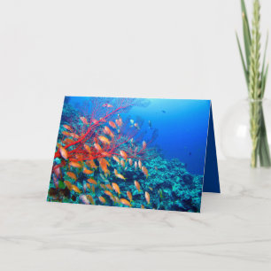 Tropical Fish Undersea Coral Reef Kaart