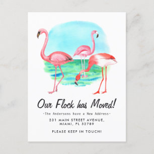 Tropical Flamingo Flock Verplaatst Nieuw Adres Ver Aankondigingskaart