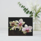 Tropical Flowers briefkaart (Staand voorkant)