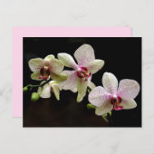 Tropical Flowers briefkaart (Voorkant / Achterkant)