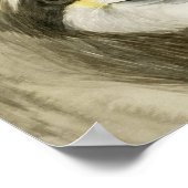 Tropical Halo | Sweet Sloth Poster (Hoek)