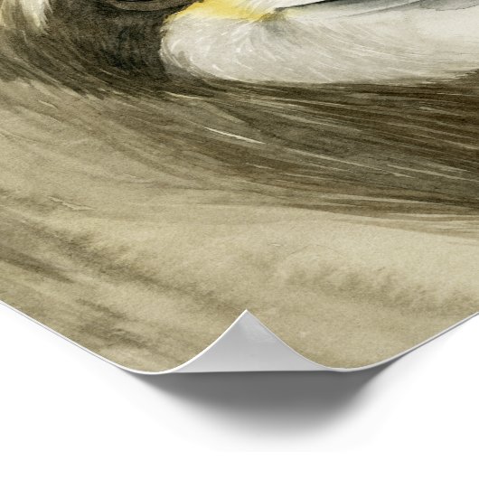 Tropical Halo | Sweet Sloth Poster (Hoek)