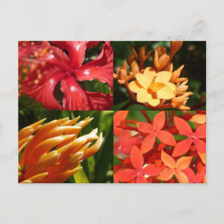 "Tropical Heat" Postcard Briefkaart
