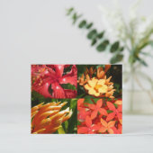 "Tropical Heat" Postcard Briefkaart (Staand voorkant)