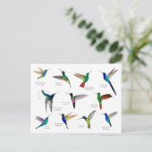 Tropical Hummingbirds  Briefkaart (Staand voorkant)