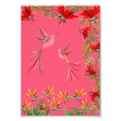 Tropical hummingbirds flowers plant wall poster (Voorkant)
