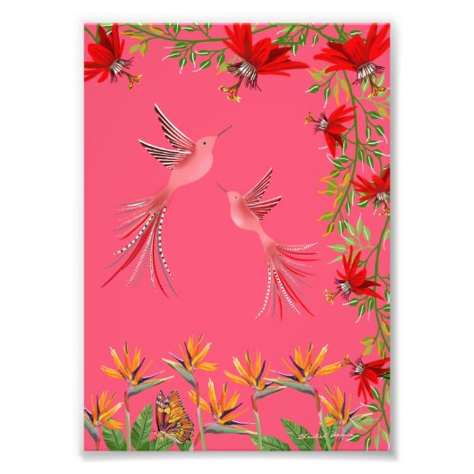 Tropical hummingbirds flowers plant wall poster (Voorkant)