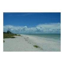 Tropical Island Beach Foto Sanibel Florida